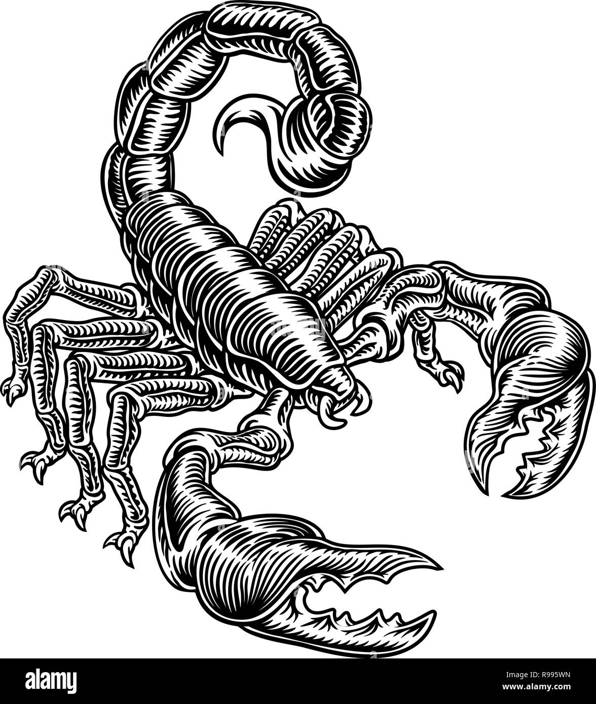 Scorpion Scorpio Zodiac Sign Woodcut Design Stock Vector