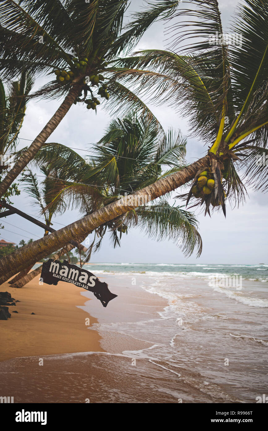 Mamas Coral Beach Hotel sign hangs from a palm tree in Hikkaduwa, Sri Lanka Stock Photo