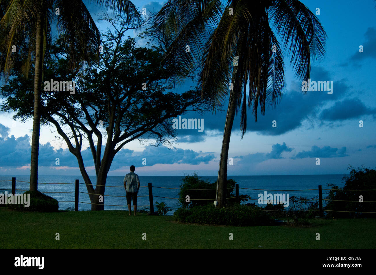 Silhouette of a man standing under trees near the beach of a south island resort in Tobago at sunset admiring the beauty of magnificent landscape. Stock Photo