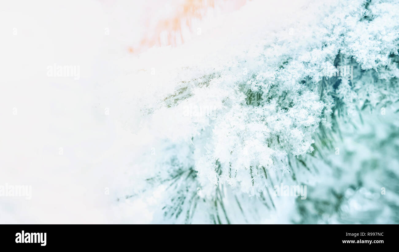 Winter Christmas scenic background with copy space. Snow landscape with ...