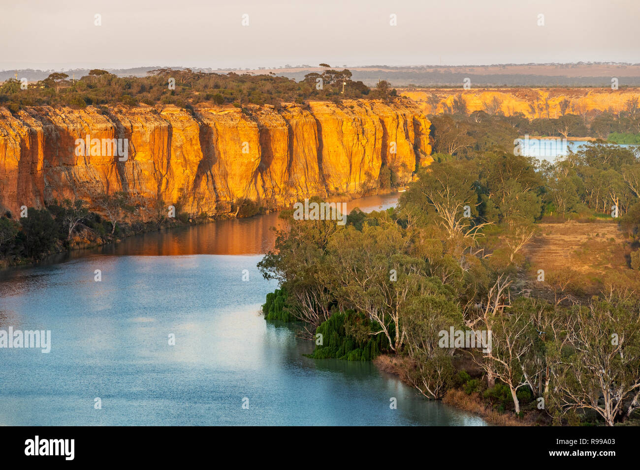 The mighty cliffs of Murray River in the first light of the day. Stock Photo