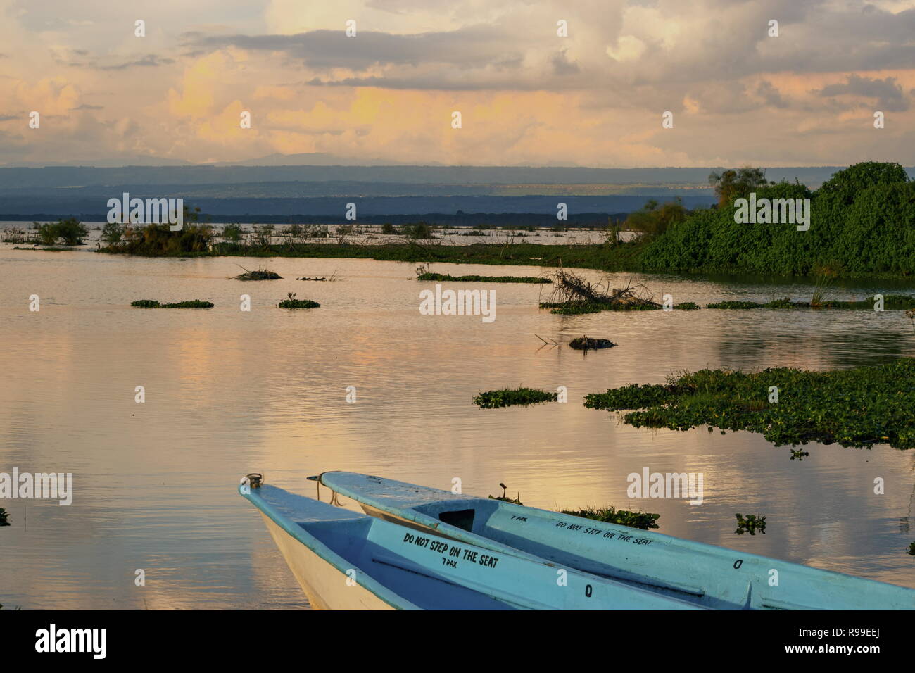 Lake naivasha fishing hi-res stock photography and images - Alamy