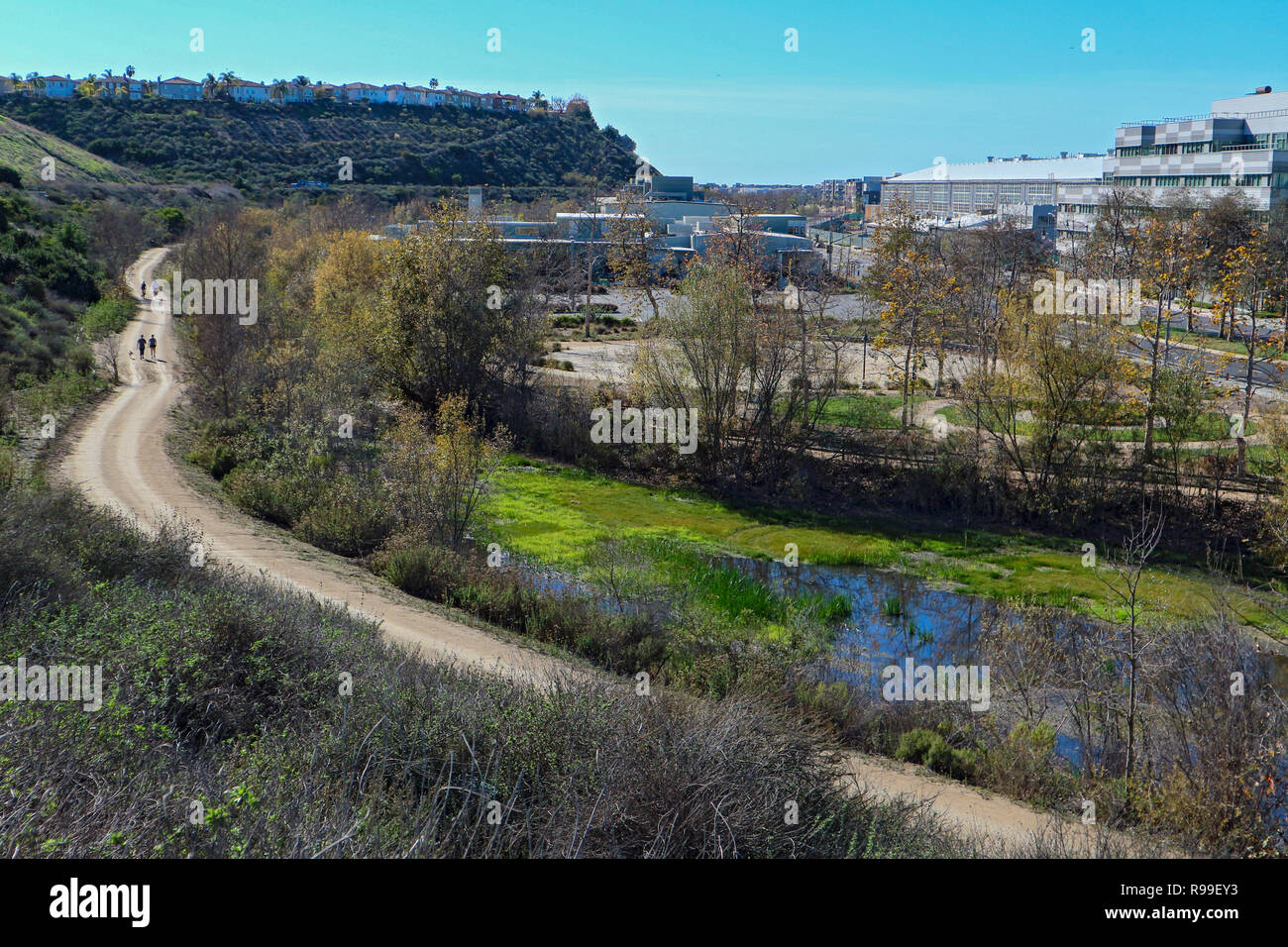 Trail winds it way through the Ballona Wetlands next to Silicon Valley, Playa Vista, Los Angeles California, USA Stock Photo