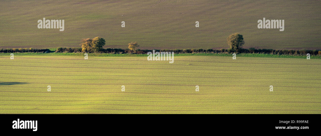Different coloured fields during evening Stock Photo - Alamy