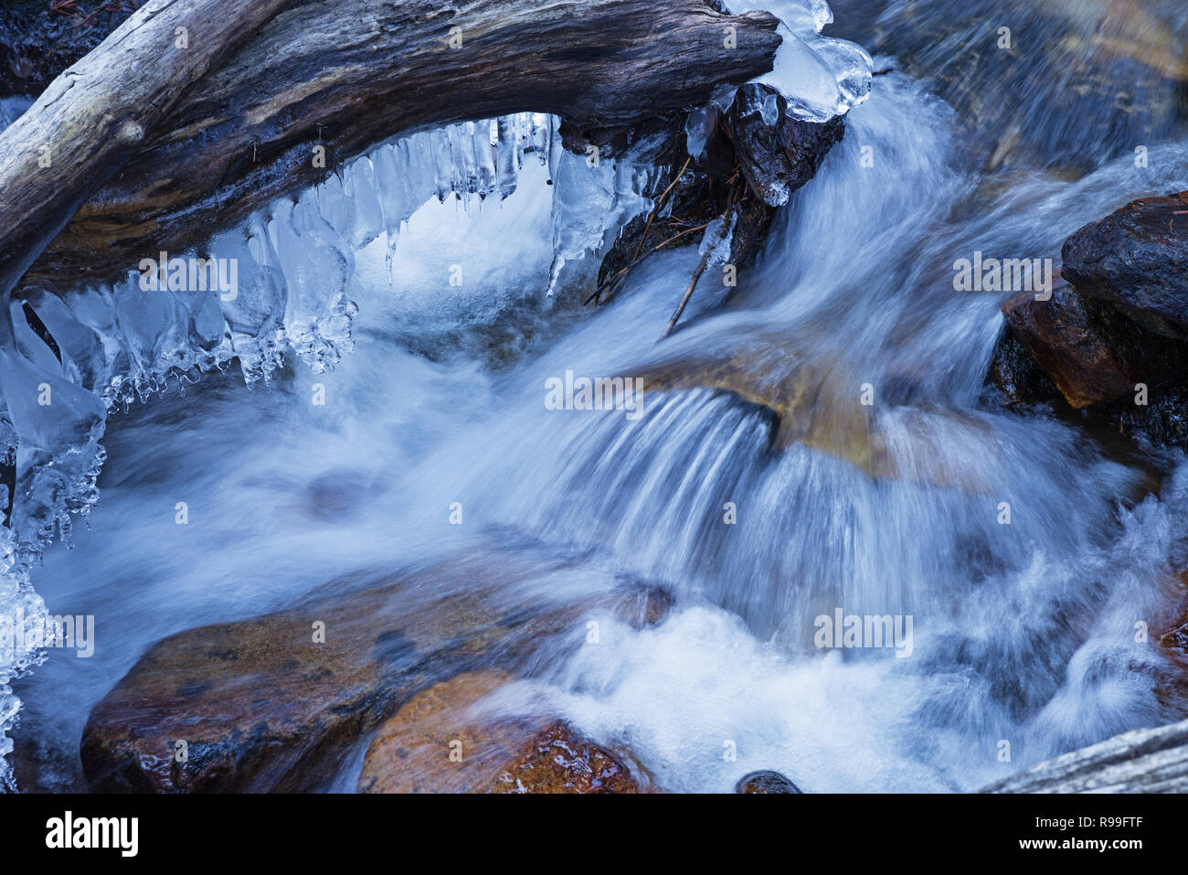 winter whitewater stream with silky flowing water and icicles Stock Photo