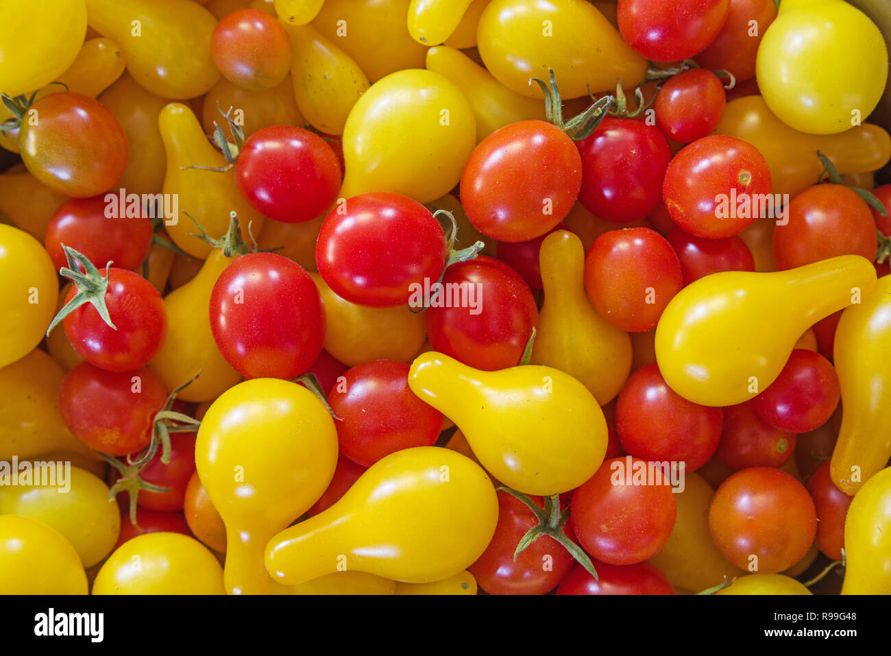 red and yellow pear cherry tomatoes from a home garden Stock Photo