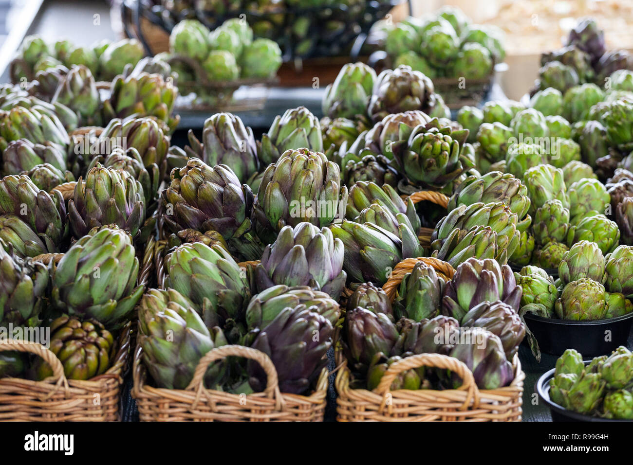 Canadian thistle hires stock photography and images Alamy