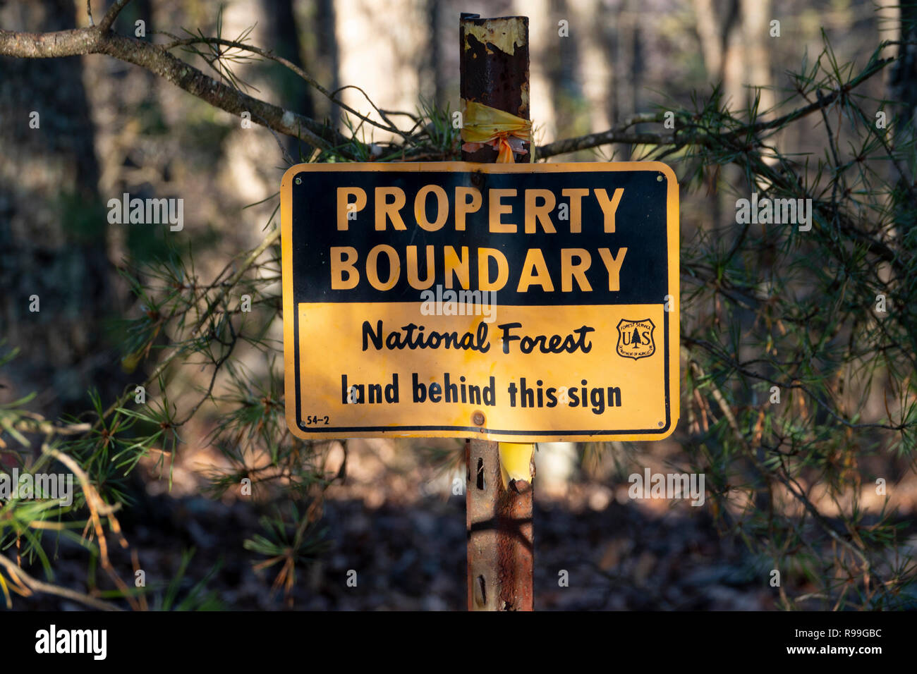 A sign marking the boundary of a USA National Forest Shenandoah Virginia woods forest George Washington National Forest Stock Photo