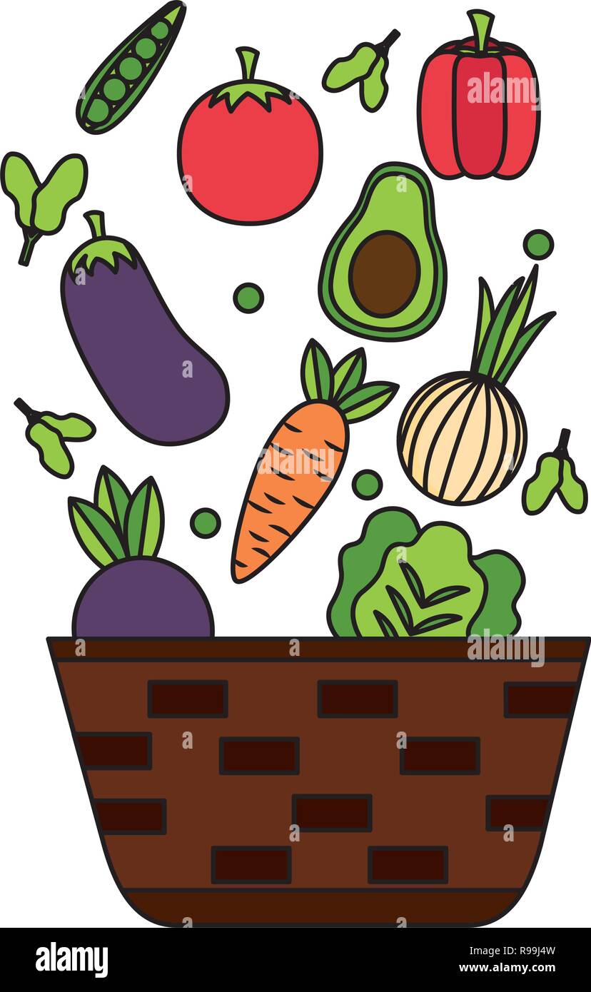 wicker basket with fresh vegetables vector illustration Stock Vector ...
