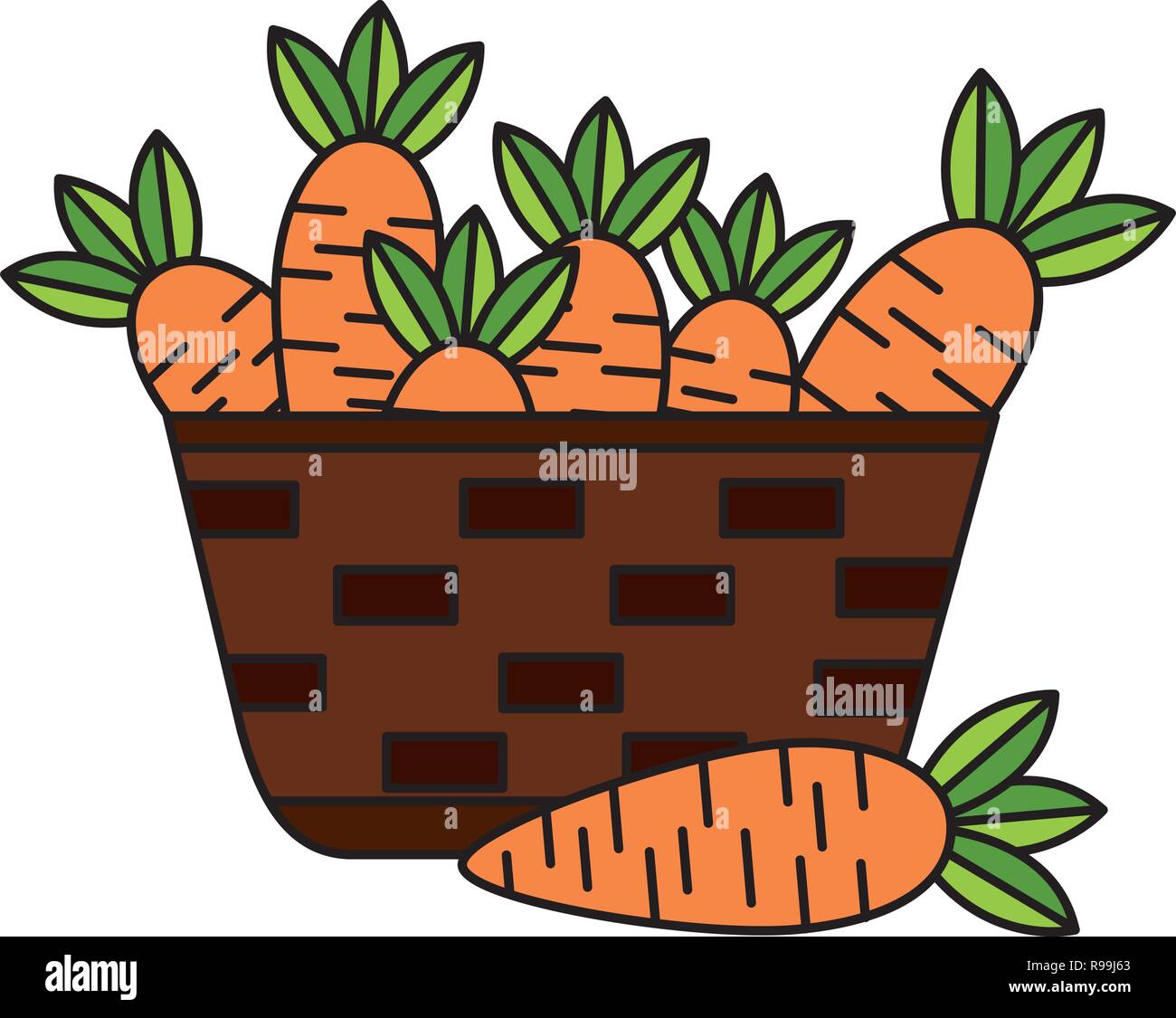 wicker basket with fresh carrots vector illustration vector