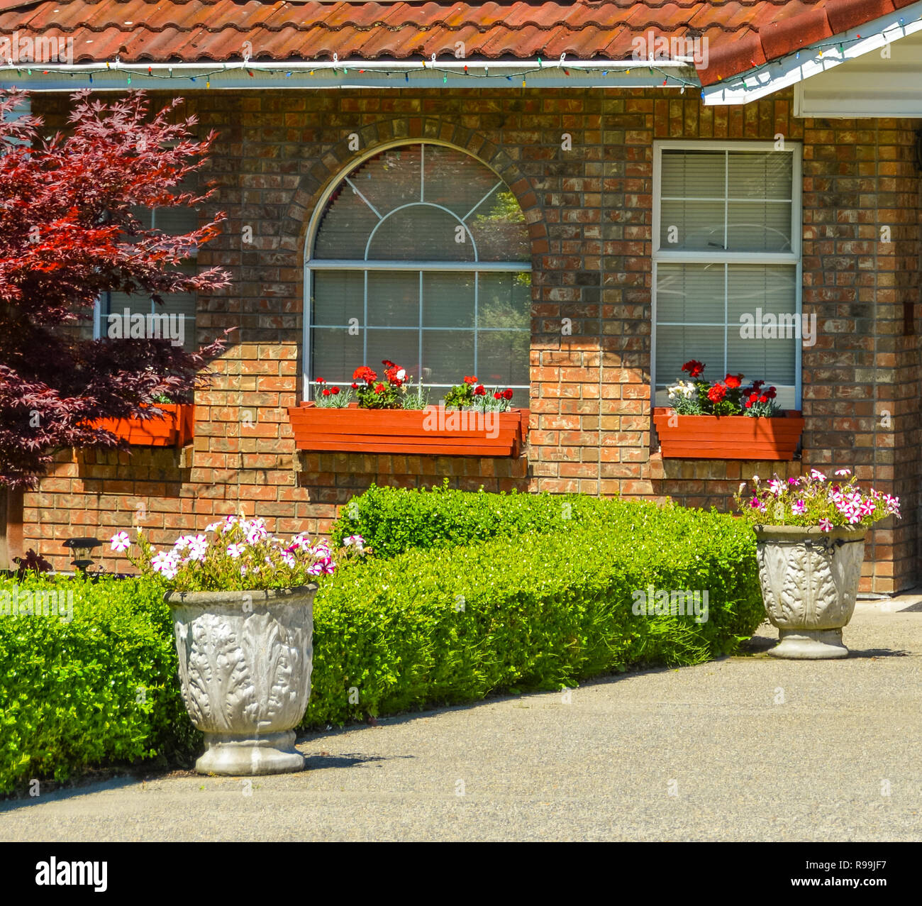 Windows of luxury house in Vancouver, Canada Stock Photo Alamy