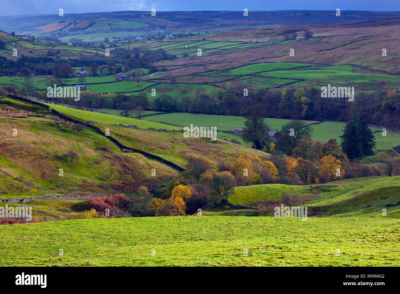 Swaledale near Muker Village Yorkshire in Autumn Stock Photo