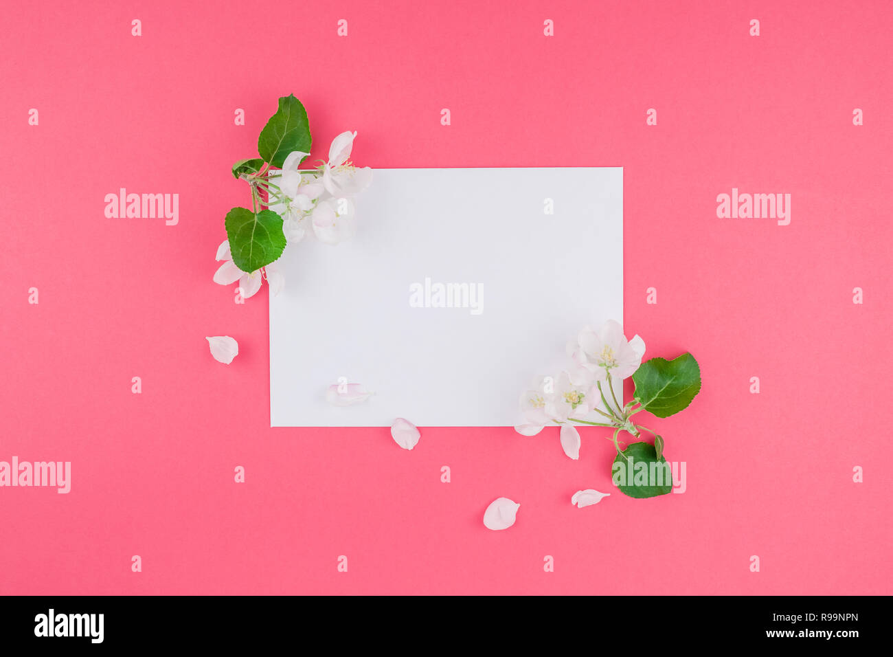 Creative flat lay concept top view of blank postcard frame mock up and ...