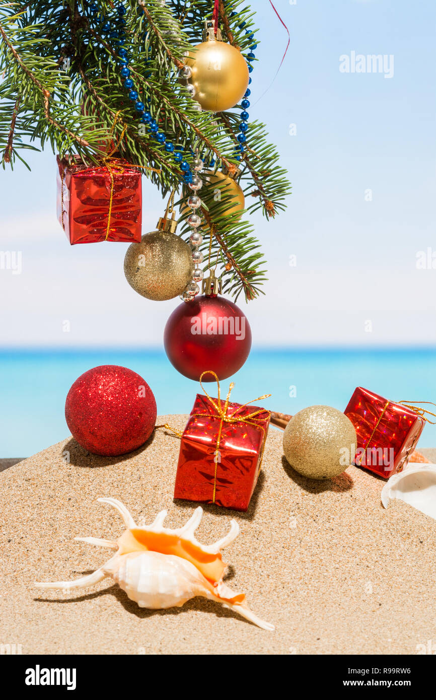 Christmas tree decorations on the beach in tropical sea. Concept of new  year holiday in hot countries Stock Photo - Alamy