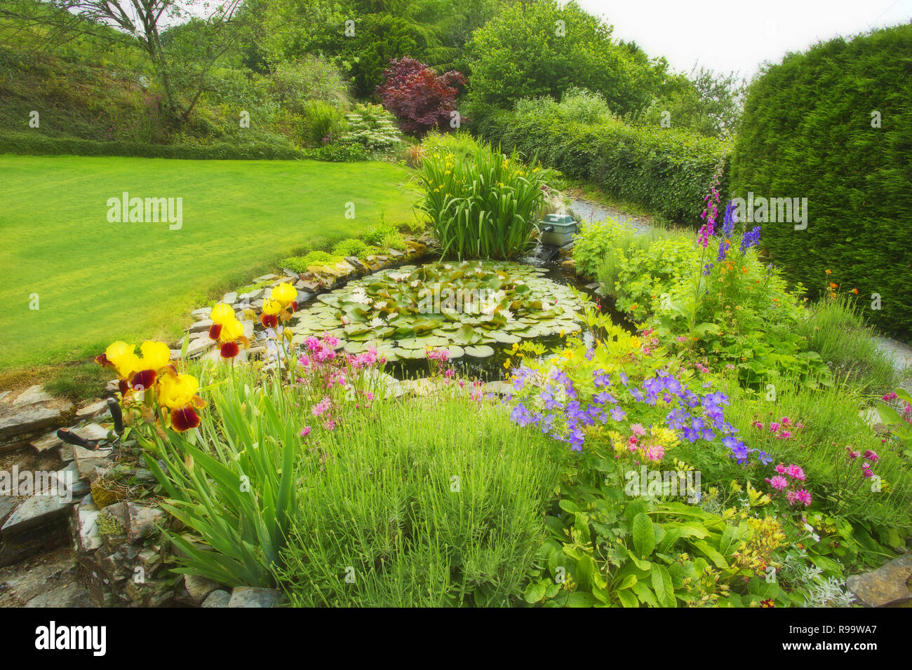 A Country garden Stock Photo