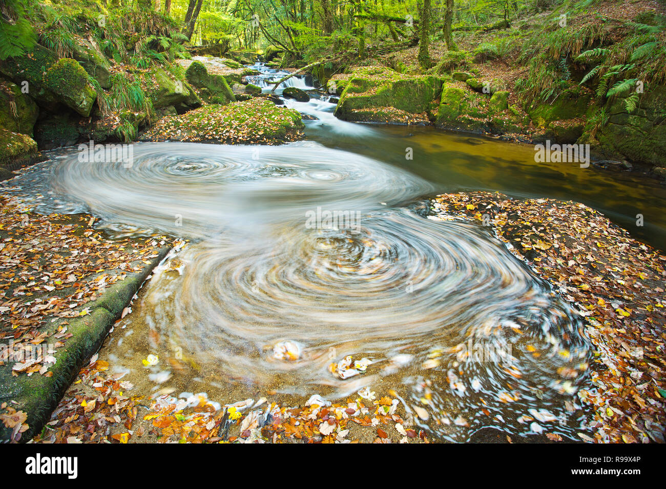 River Fowey at Golitha Falls, Cornwall, England Stock Photo