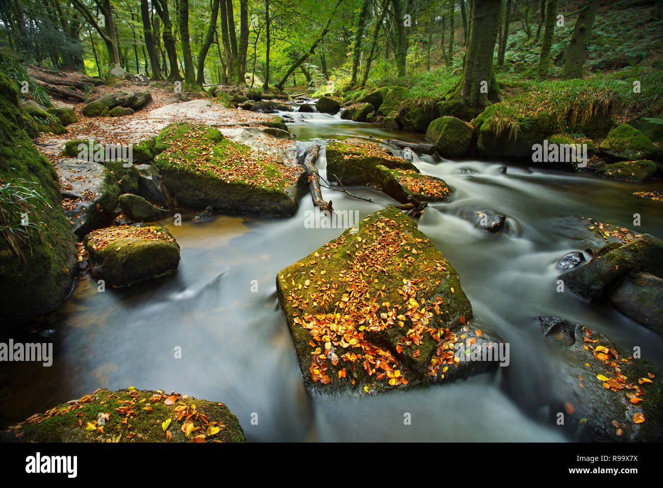 River Fowey at Golitha Falls, Cornwall, England Stock Photo