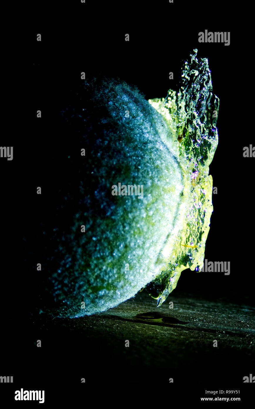 Frozen quince at night Stock Photo Alamy