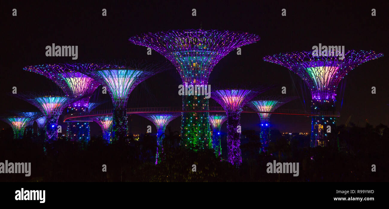 Super Tree Grove, gardens by the bay at Bay front, illuminated metal trees at night in Singapore Stock Photo