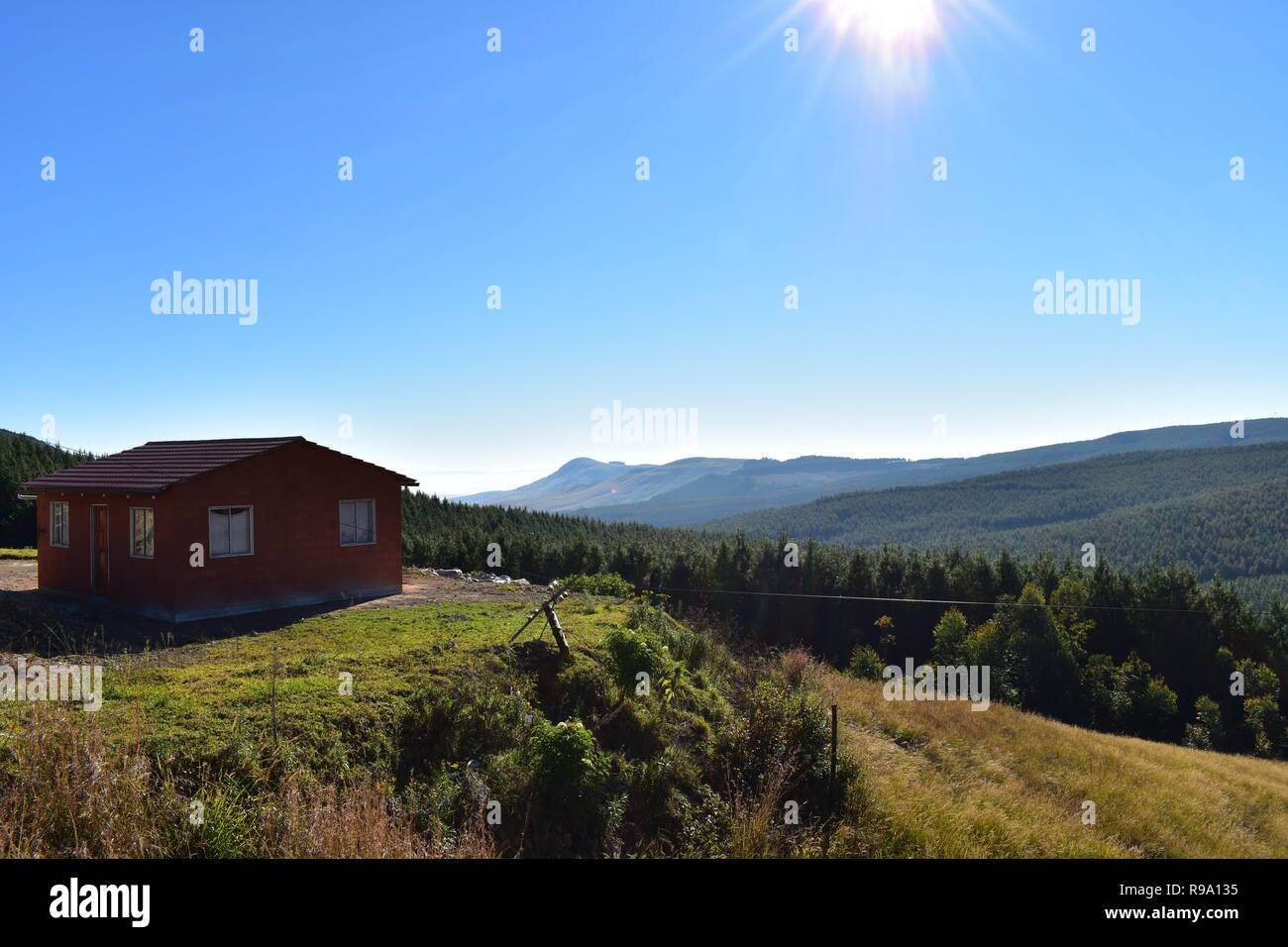 A cabin overlooking a huge South African forest Stock Photo