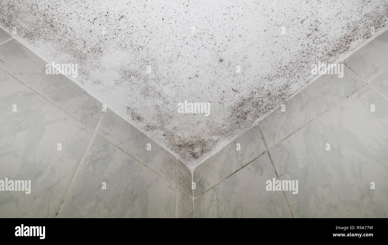 Damp patches in bath roof corner, bottom view Stock Photo