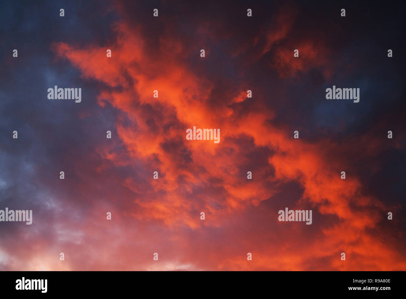 red cumulus clouds illuminated by the setting sun in the evening Stock Photo