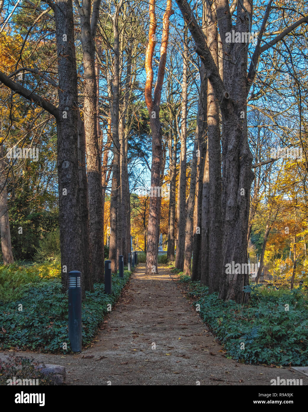 Berlin. House of the Wannsee Conference Memorial Site. Garden of Villa ...