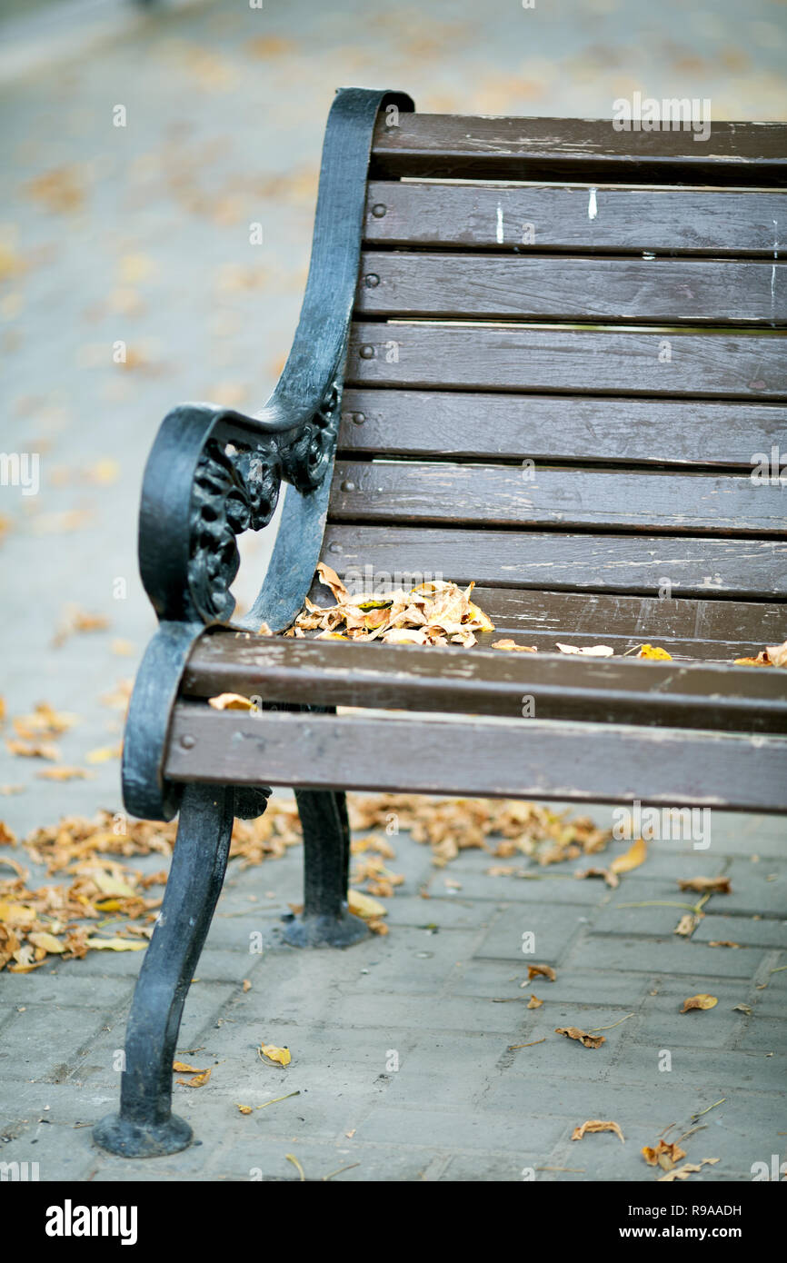 outdoor bench with yellow leaves close-up in autumn Stock Photo