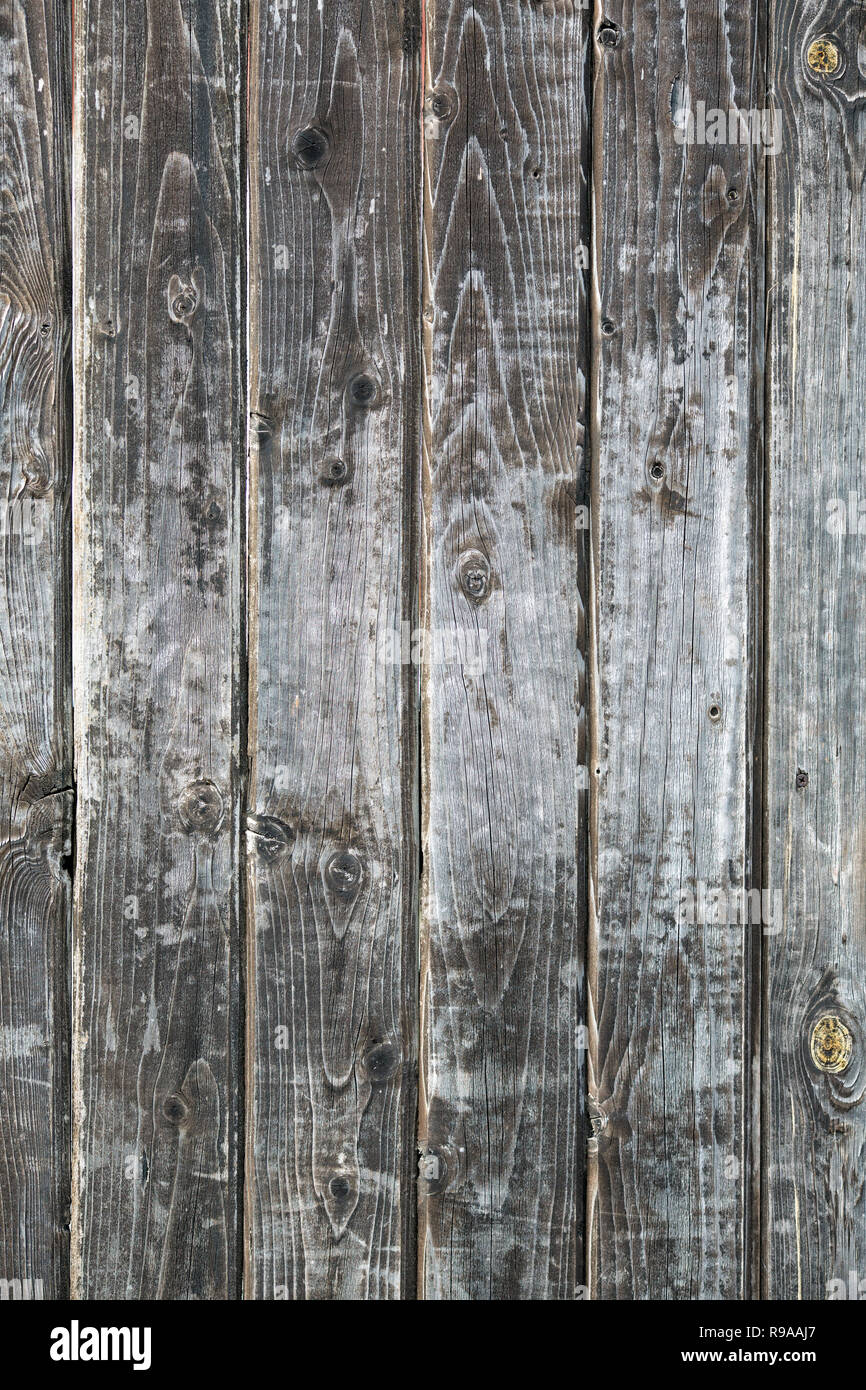 texture of old worn gray boards close up Stock Photo