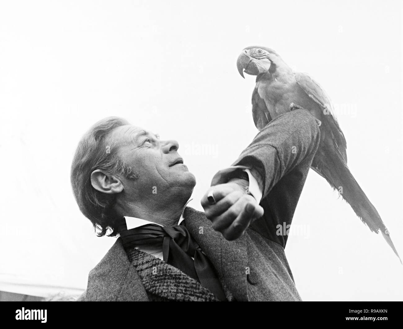 Doctor doolittle film rex hi-res stock photography and images - Alamy