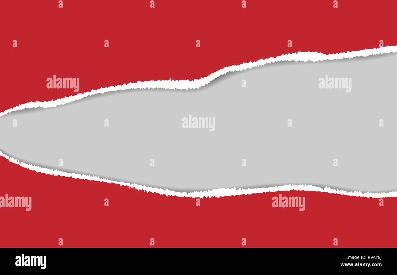 Ripped paper. Vector of ripped paper. the paper was ripped background ...