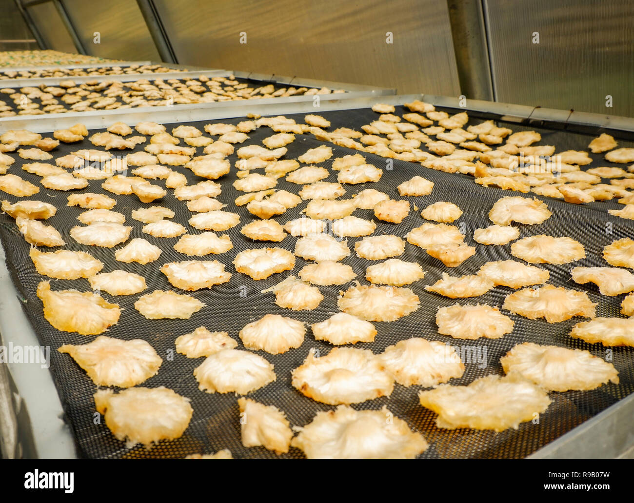 Dried fruit / Making dry fruit on net with dried pineapple in room