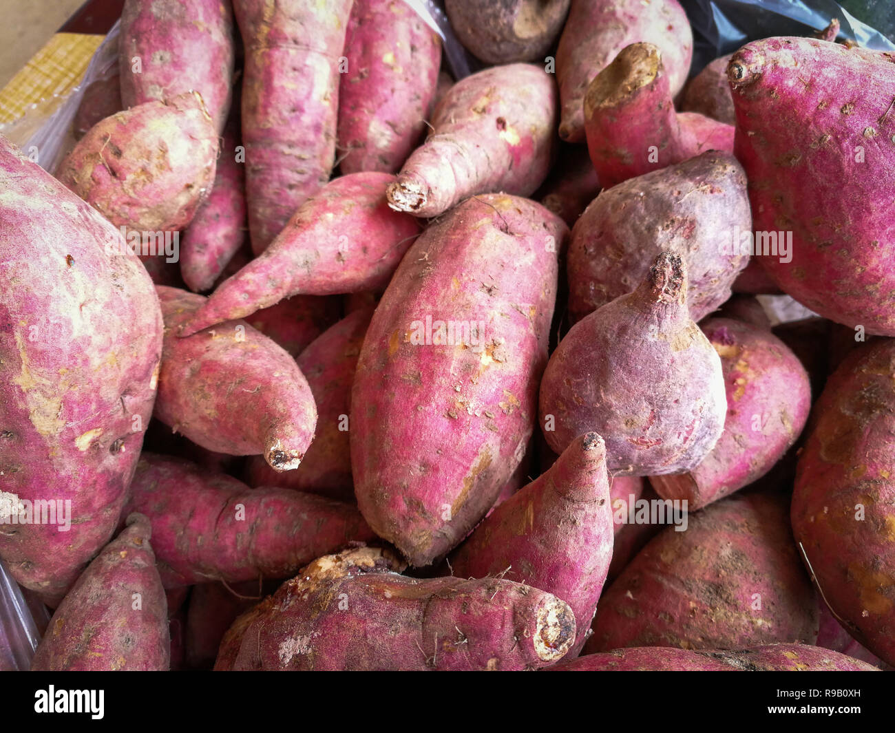 yam hires stock photography and images Alamy