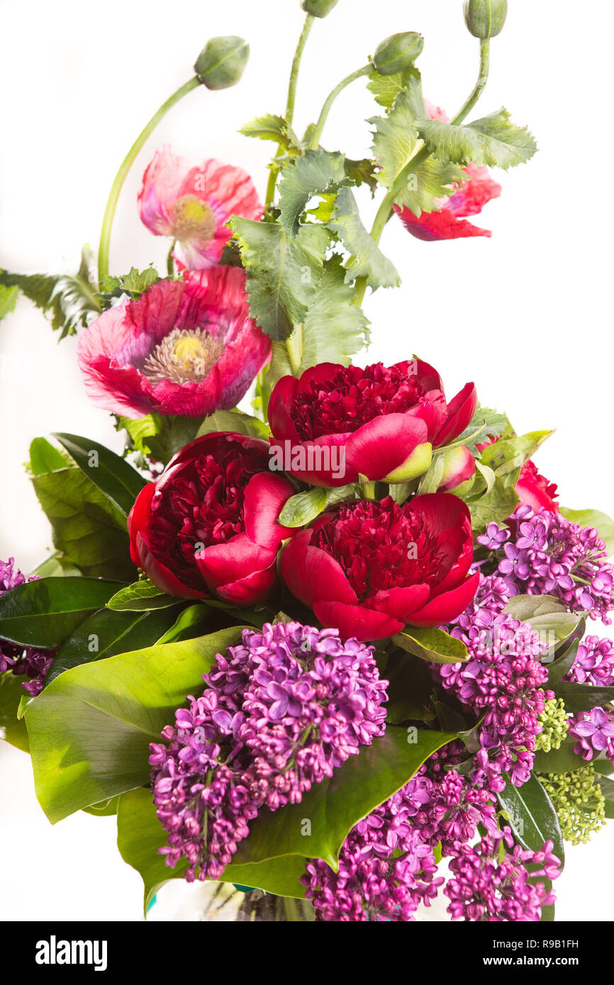 Large Beautiful Lush Bouquet Of Flowers Bright Multicolored Poppy
