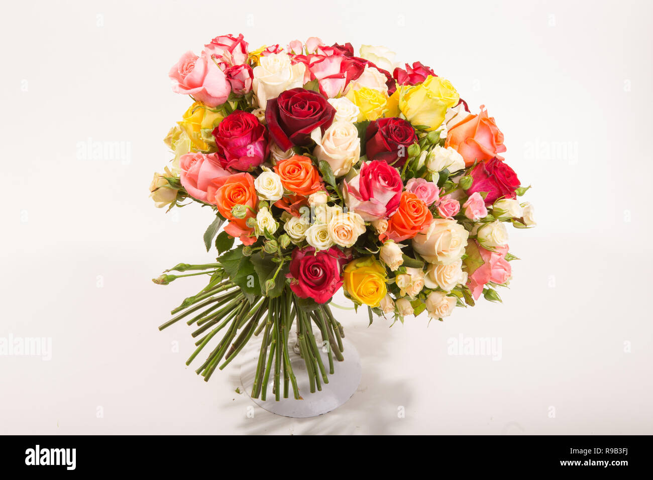 Bouquet of assorted multicolored roses isolated on white background ...