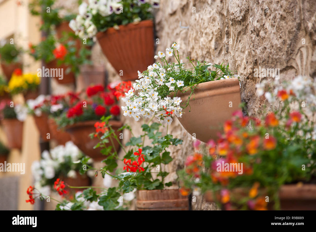 pots of flowers on the walls in a small village in Tuscany Stock Photo ...