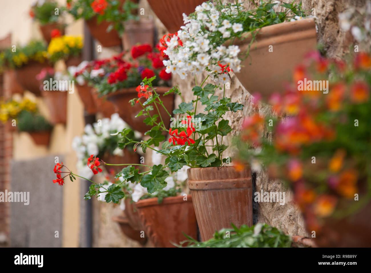 pots of flowers on the walls in a small village in Tuscany Stock Photo ...