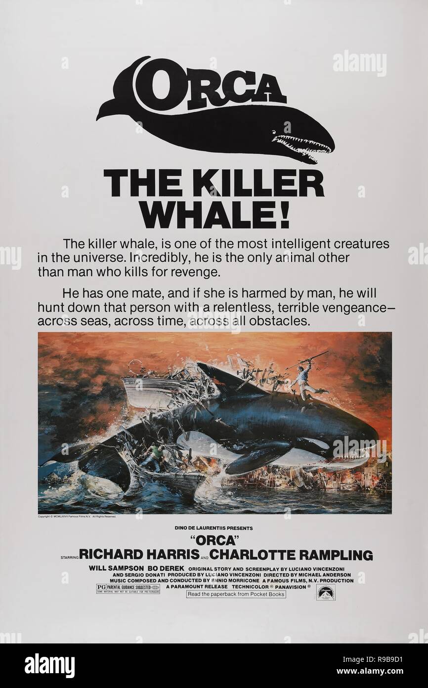 Original film title: ORCA. English title: ORCA. Year: 1977. Director: MICHAEL ANDERSON. Credit: DINO DE LAURENTIIS / Album Stock Photo