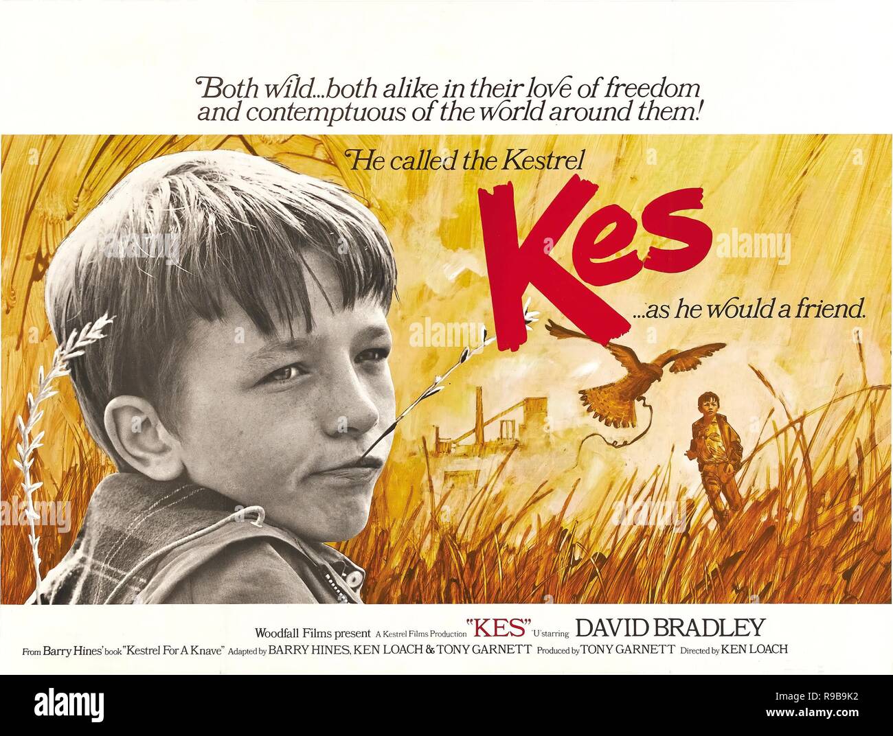 Kes film poster hi-res stock photography and images - Alamy