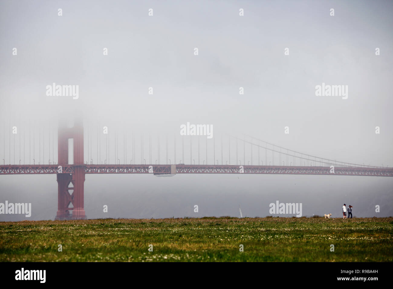 USA, California, San Francisco, a couple walks their dog at Crissy Field, the Golden Gate Bridge in the distance Stock Photo