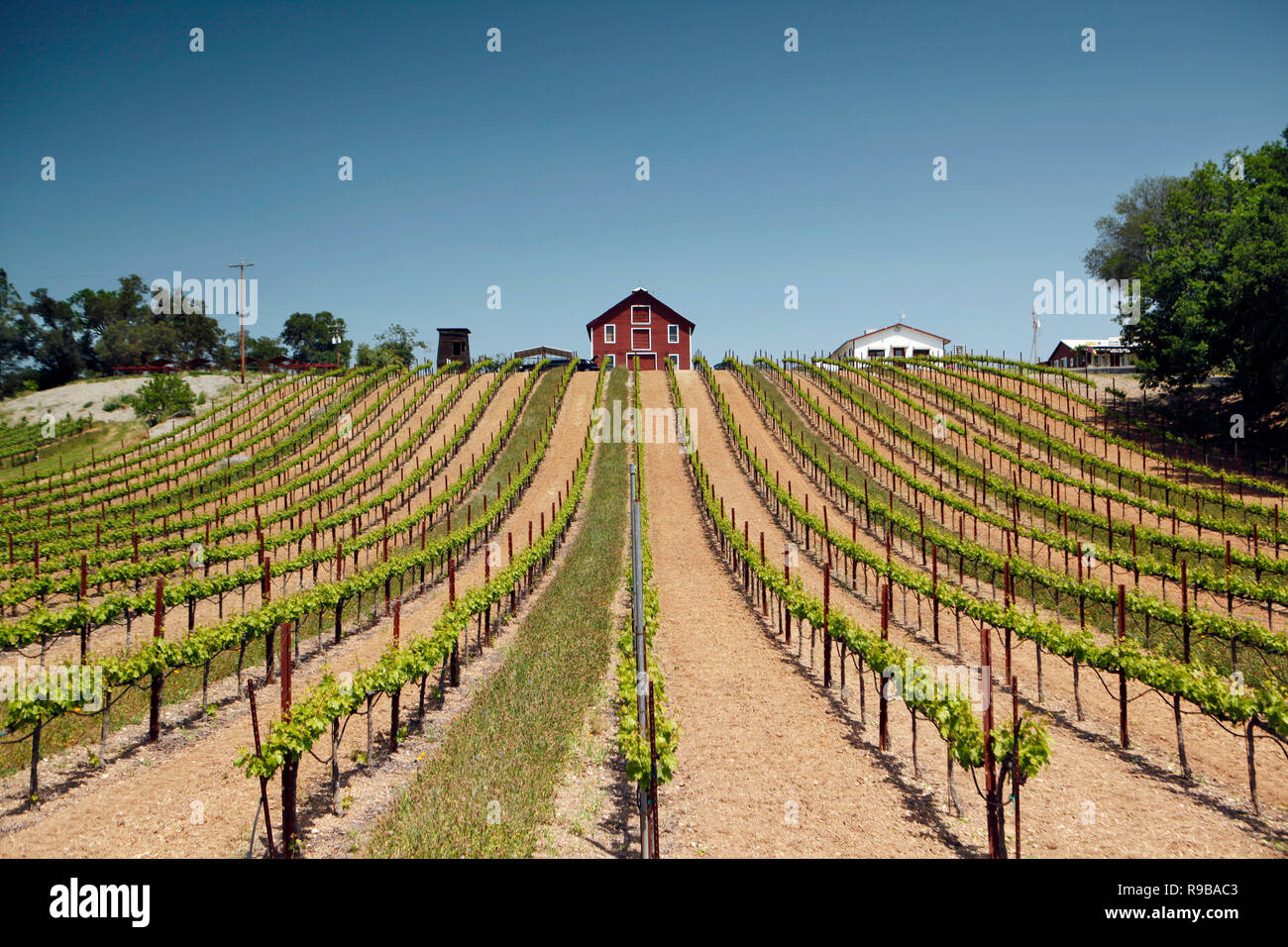 USA, California, Healdsburg, on the grounds of Timber Crest Farms on
