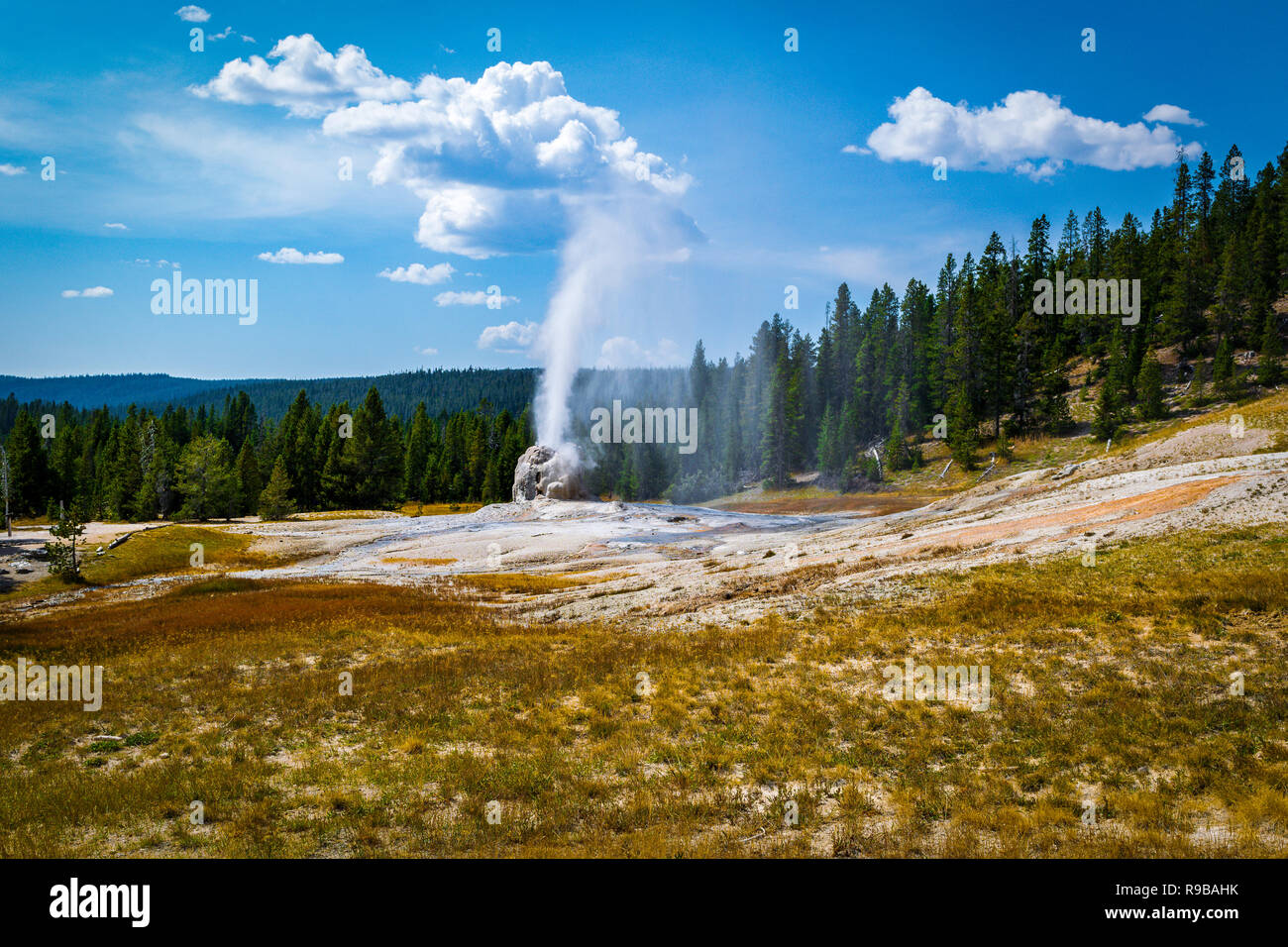 Lone star geyser yellowstone national hi-res stock photography and ...