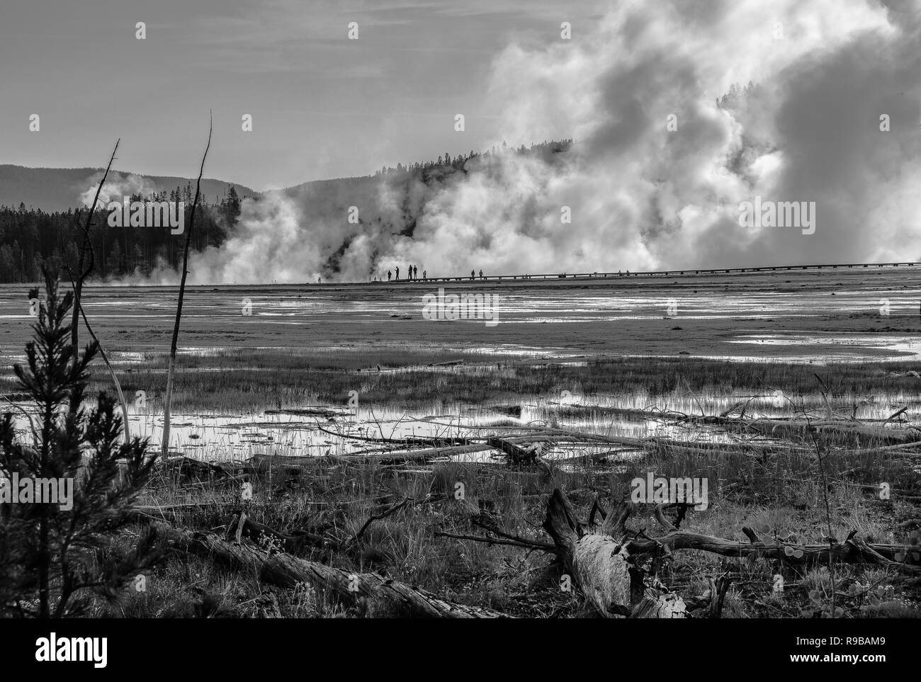 Midway Geyser Basin and the Grand Prismatic Spring in Black and White - Yellowstone NP Stock Photo