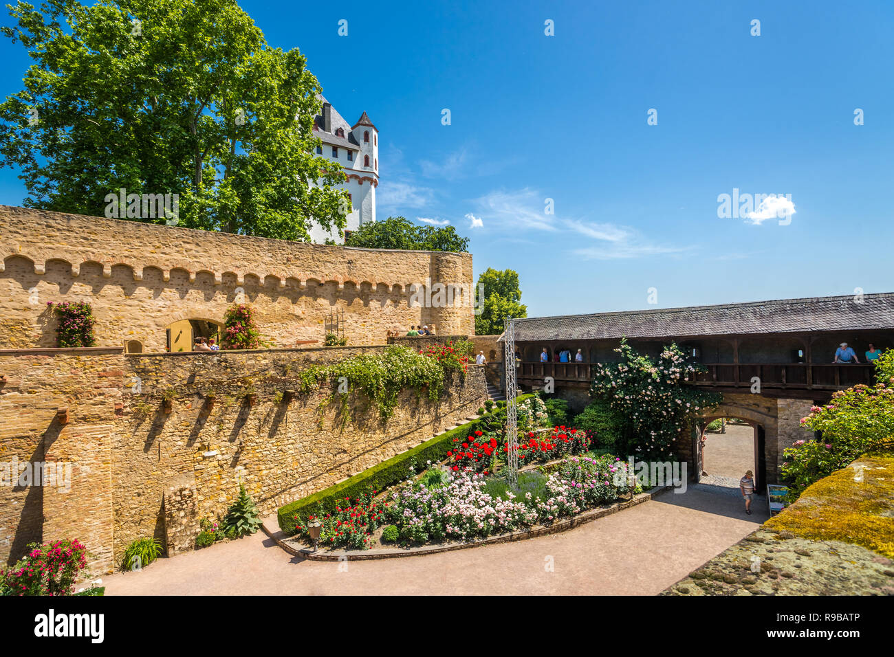 Castle and the city of Eltville am Rhein, Germany Stock Photo
