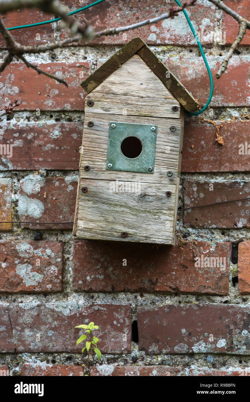 Nest box, Scotland, UK, Stock Photo