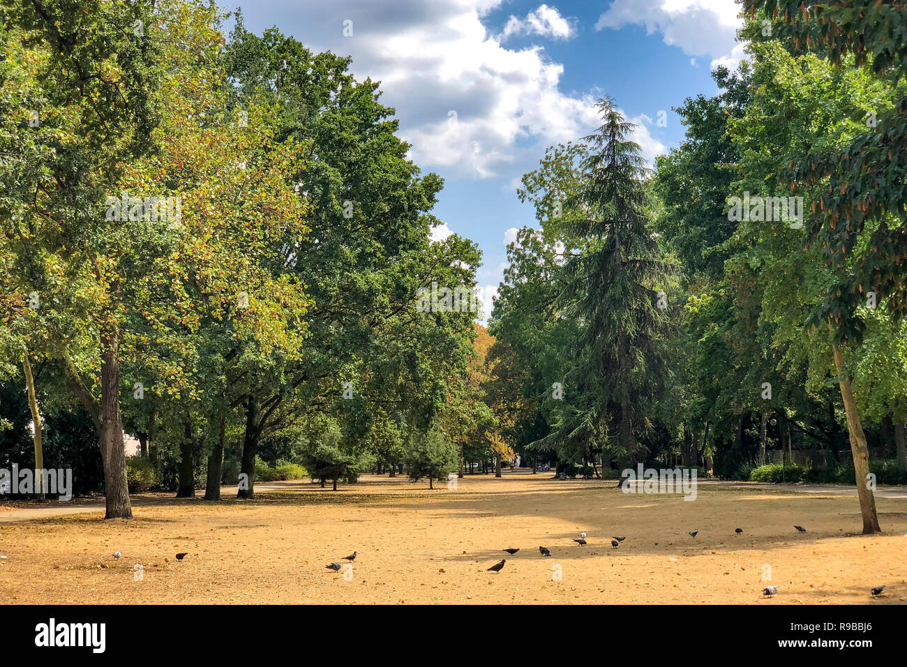 Heatwave, City, Frankfurt am Main, Germany Stock Photo