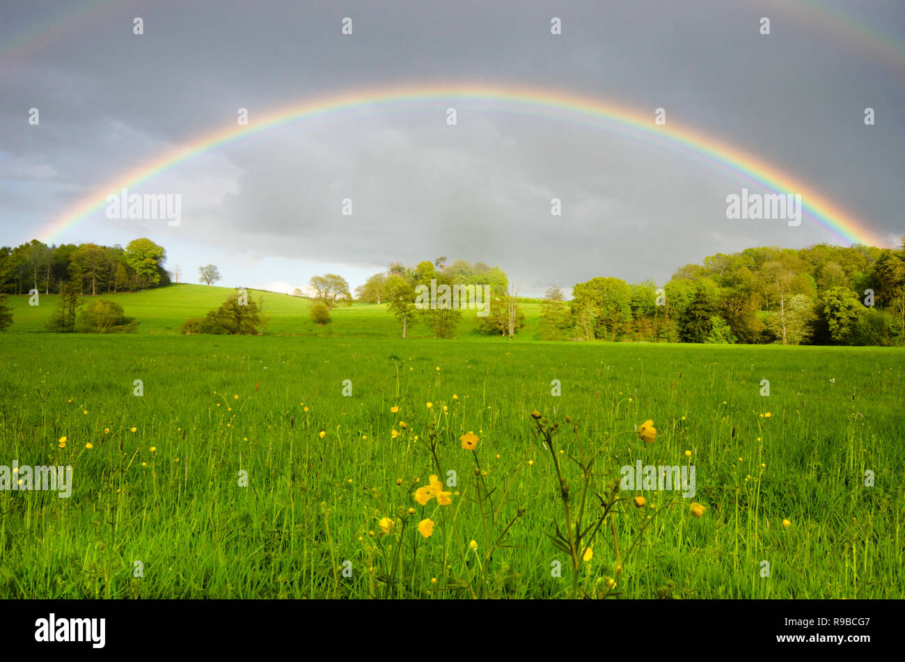full rainbow over flower meadow and trees near Midhurst, The South Downs National Park, Sussex, UK Stock Photo