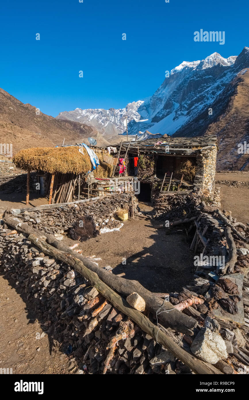 The Tibetan village of Samdo on the Manaslu Circuit trek is made up of traditional 2 storey houses with livestock below living quarters Stock Photo