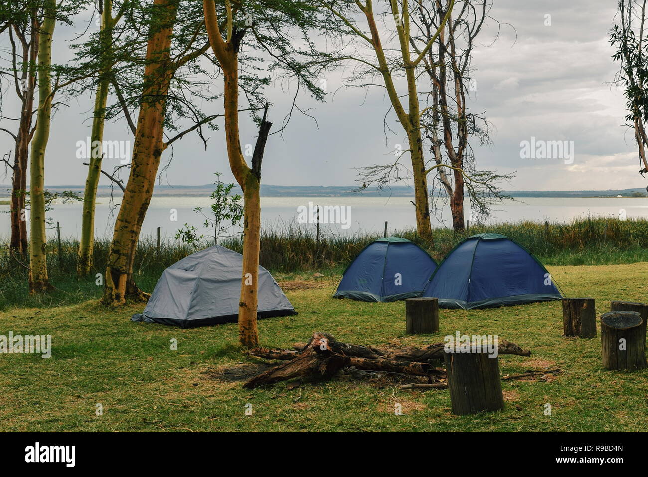 Camping at Lake Elementaita, Rift Valley, Kenya Stock Photo Alamy