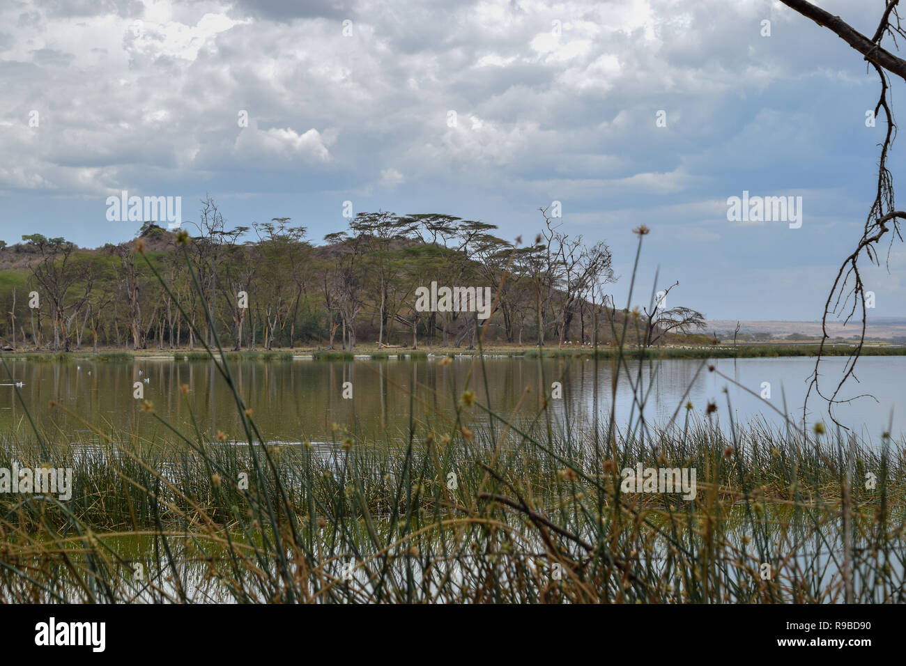 Camping at Lake Elementaita, Rift Valley, Kenya Stock Photo Alamy